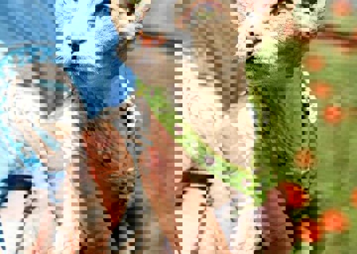 16_05220401.jpg
