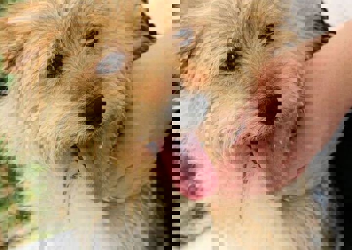 16_05220405.jpg