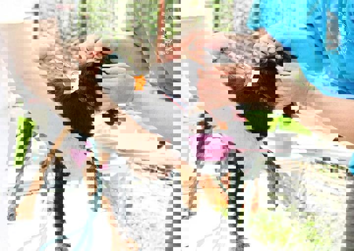 16_05220406.jpg