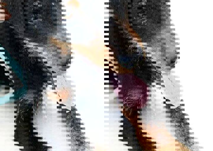 16_05220409.jpg