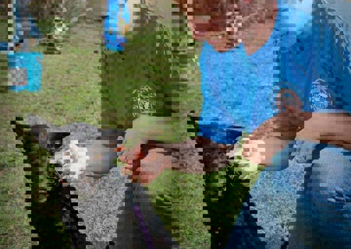aca_careday_2015_08_23_1091.jpg