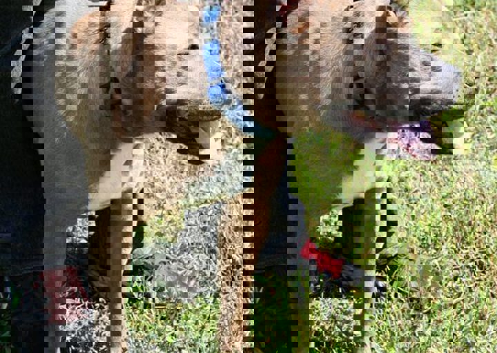 16_05220412.jpg