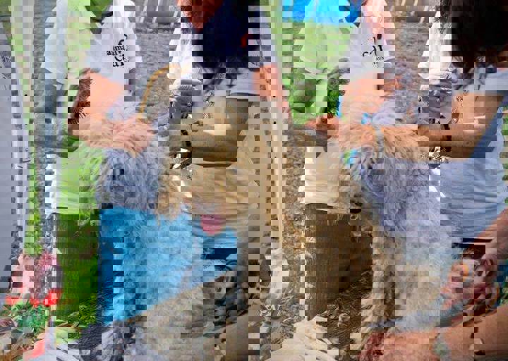aca_careday_2015_08_23_1093.jpg