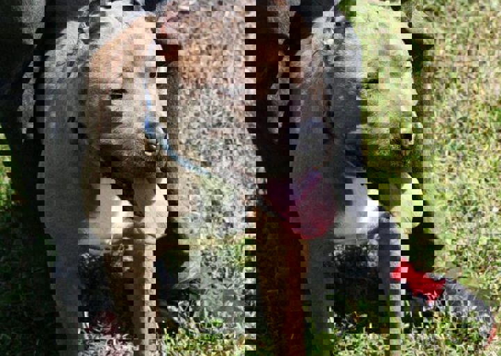 16_05220413.jpg