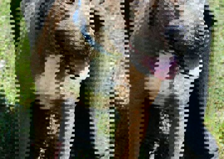 16_05220414.jpg