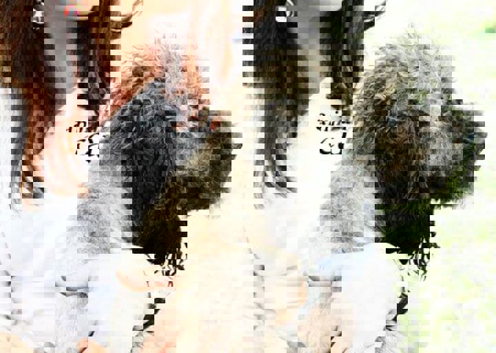 16_05220417.jpg