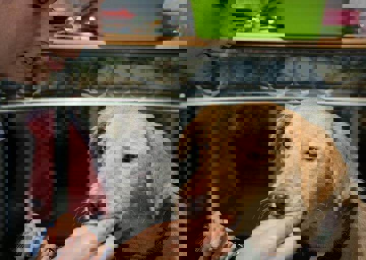aca_careday_2015_08_23_1100.jpg