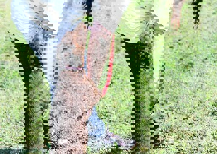 16_05220428.jpg