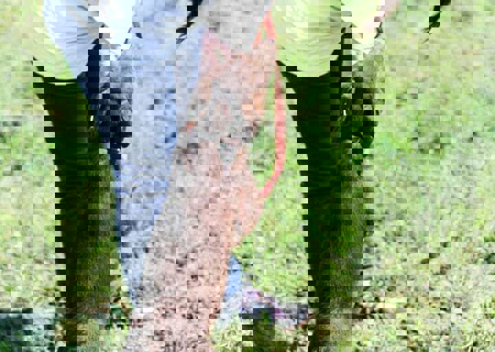 16_05220429.jpg