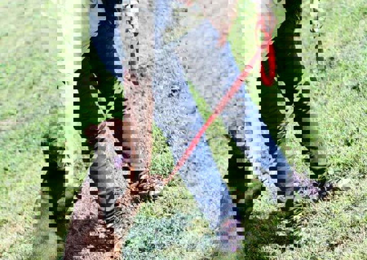 16_05220430.jpg