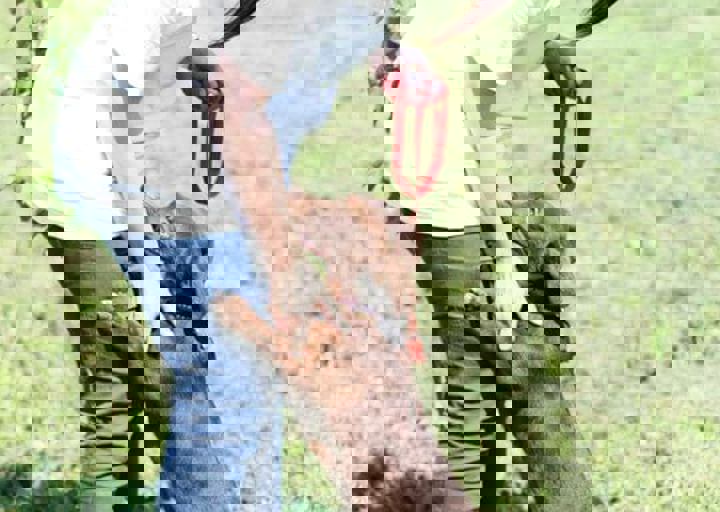 16_05220431.jpg