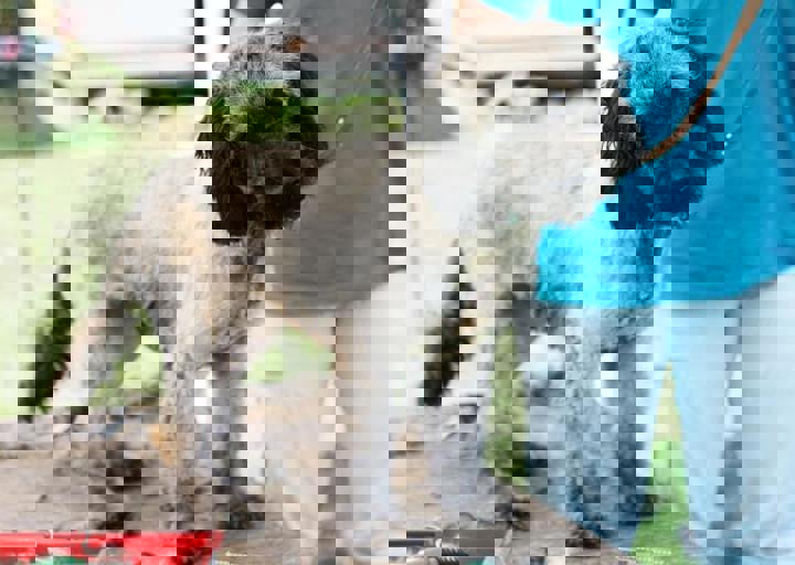 16_05220432.jpg