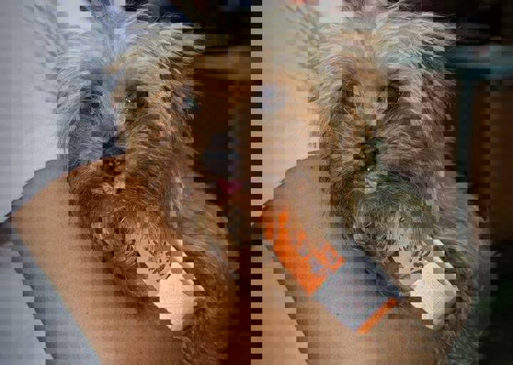 aca_careday_2015_08_23_1113.jpg