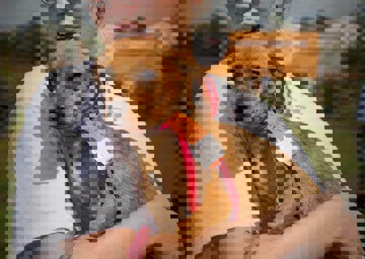 aca_careday_2015_08_23_1114.jpg