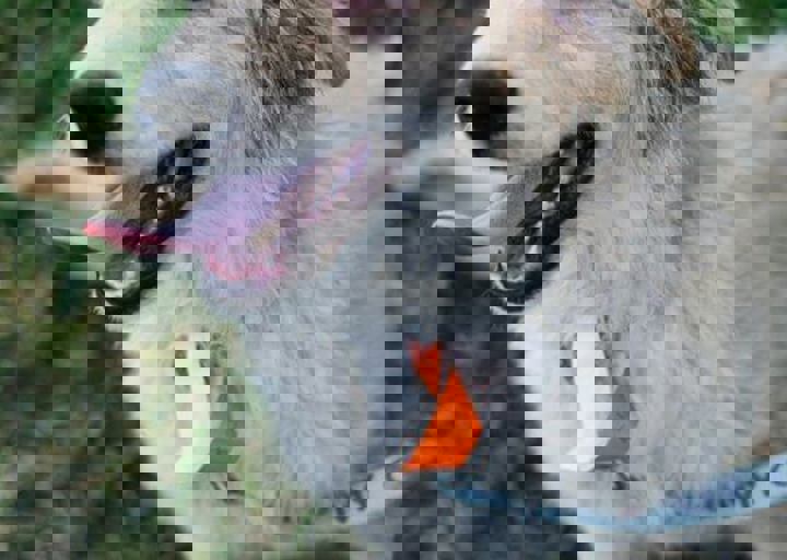 16_05220445.jpg