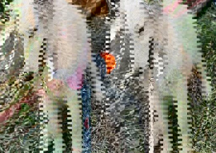 16_05220447.jpg