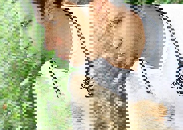 16_05220448.jpg