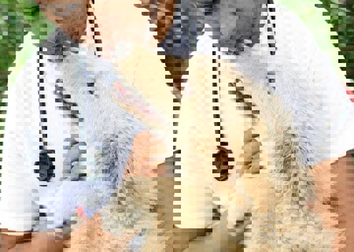 16_05220450.jpg