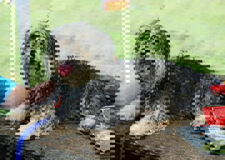 16_05220451.jpg