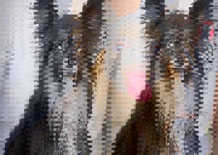 aca_careday_2015_08_23_1127.jpg