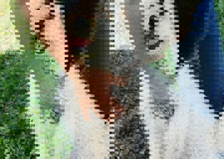 16_05220455.jpg