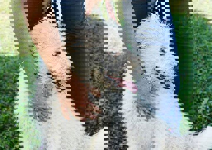 16_05220457.jpg