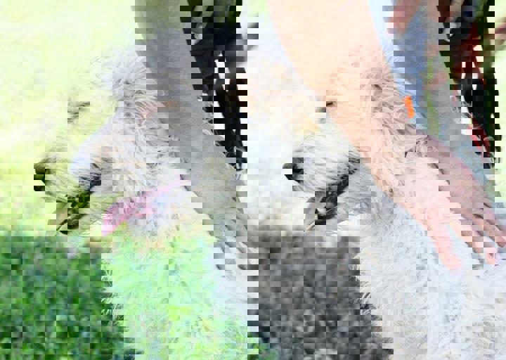 16_05220460.jpg