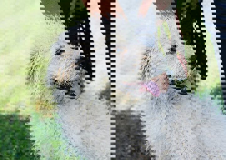 16_05220461.jpg