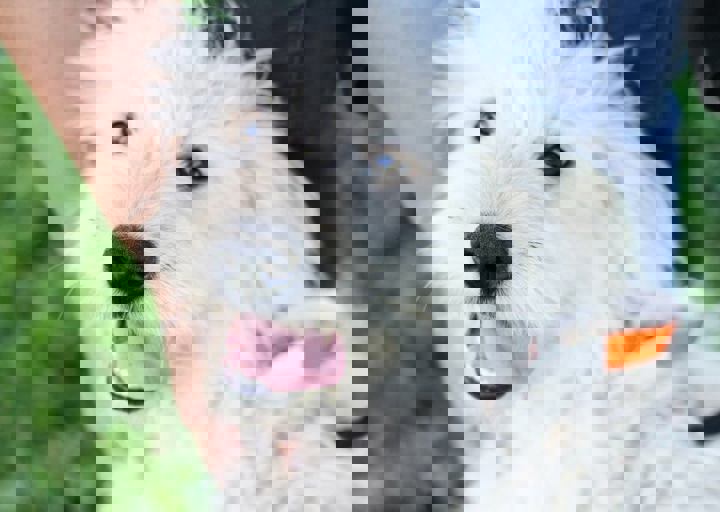 16_05220462.jpg
