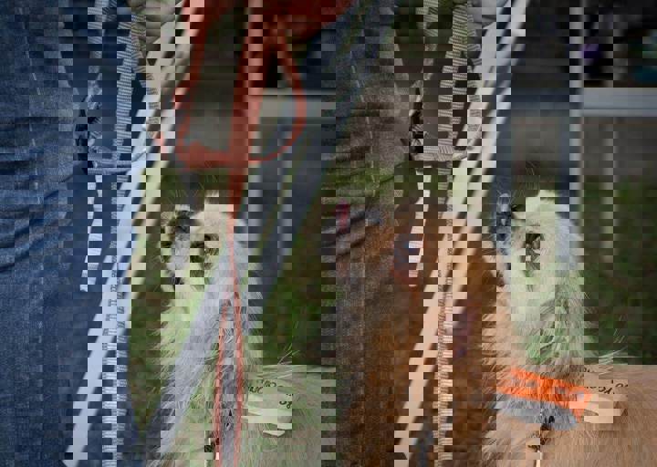 aca_careday_2015_08_23_1136.jpg