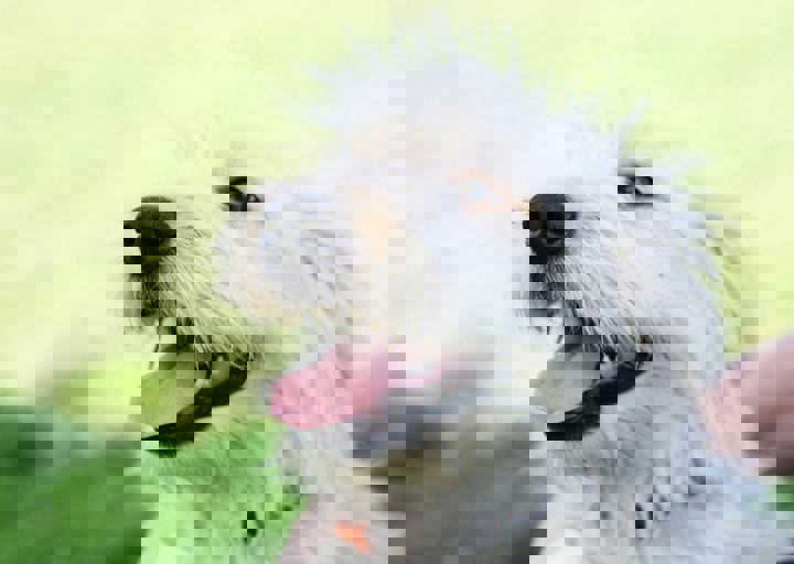 16_05220464.jpg