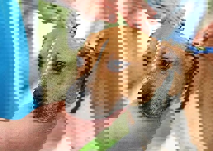 16_05220467.jpg
