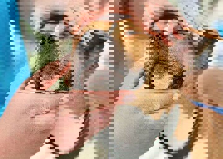 16_05220469.jpg