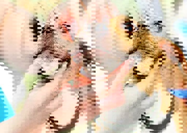 16_05220470.jpg