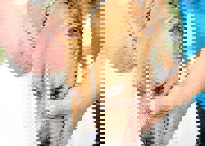16_05220473.jpg