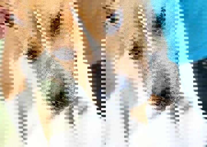 16_05220474.jpg