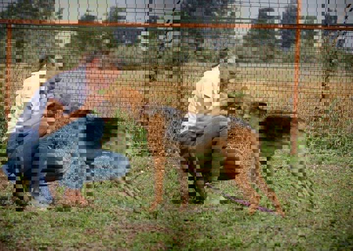 aca_careday_2015_08_23_1144.jpg