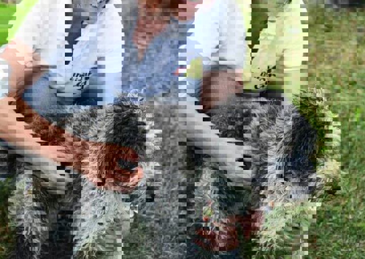 16_05220477.jpg