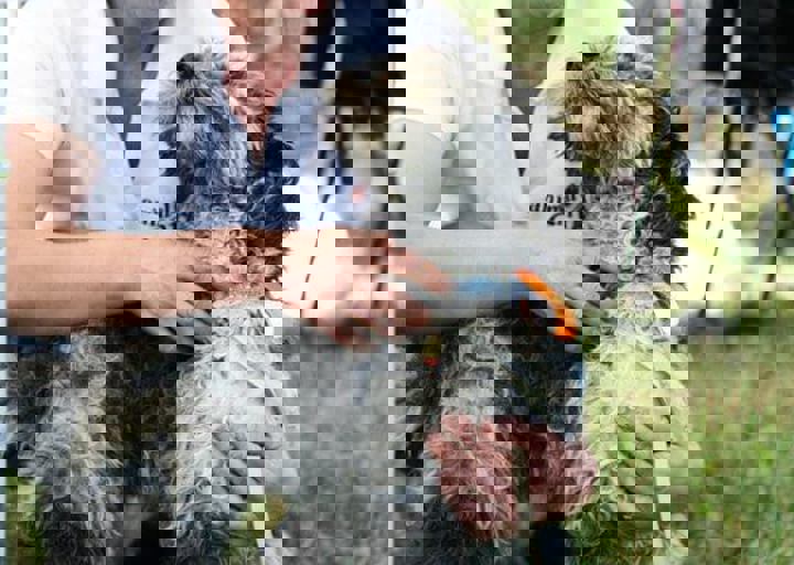 16_05220478.jpg