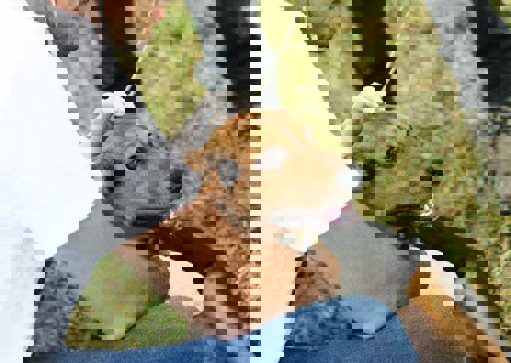 16_05220479.jpg