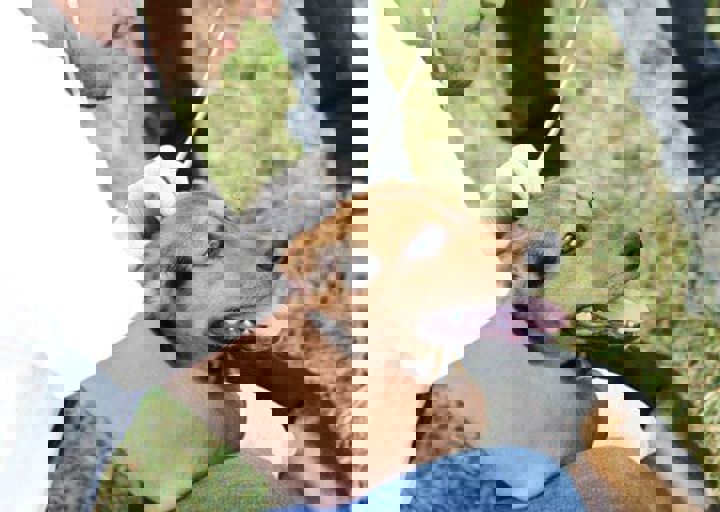 16_05220480.jpg