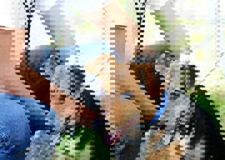 16_05220482.jpg