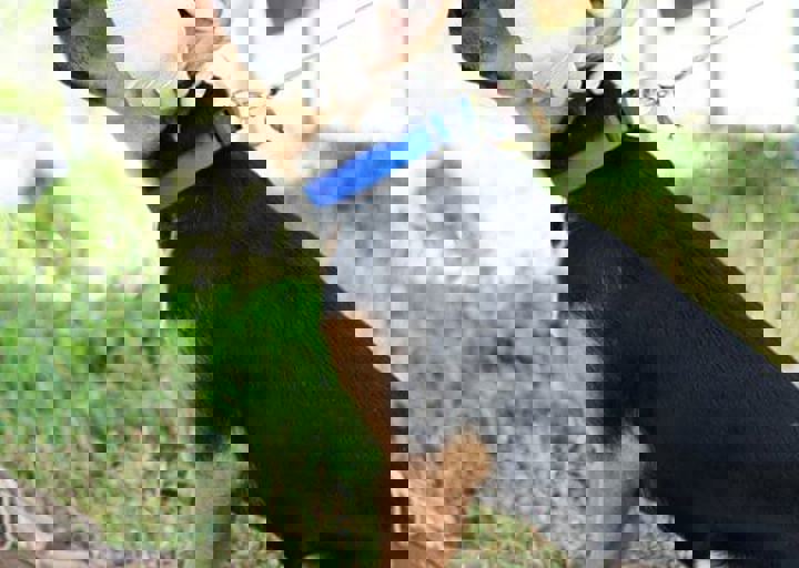 16_05220483.jpg