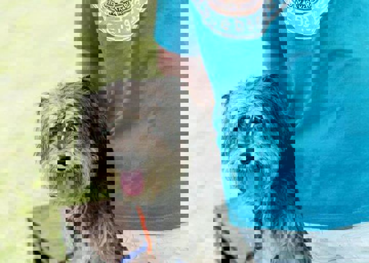 16_05220484.jpg