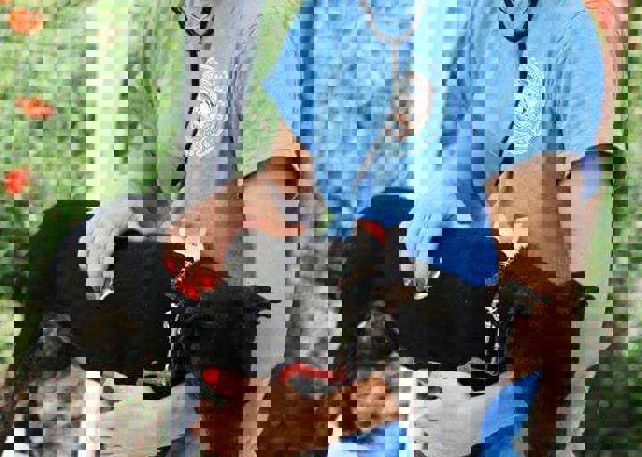 16_05220491.jpg