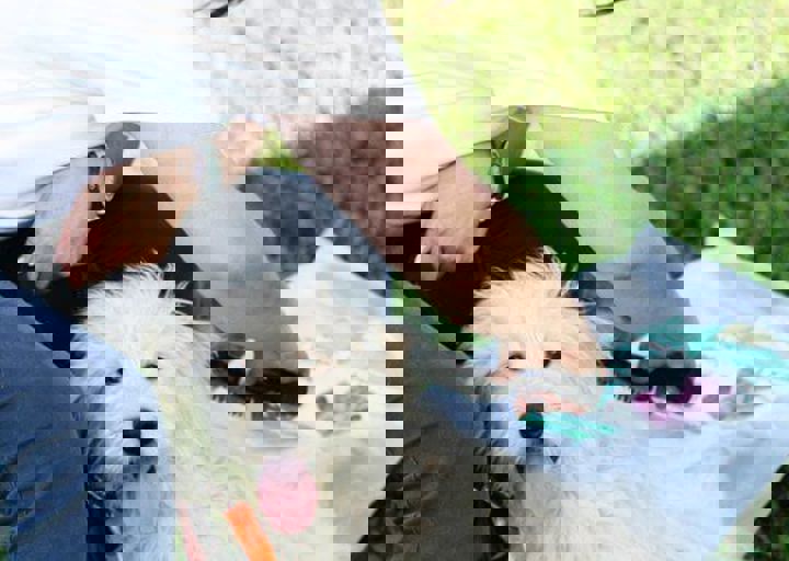 16_05220492.jpg