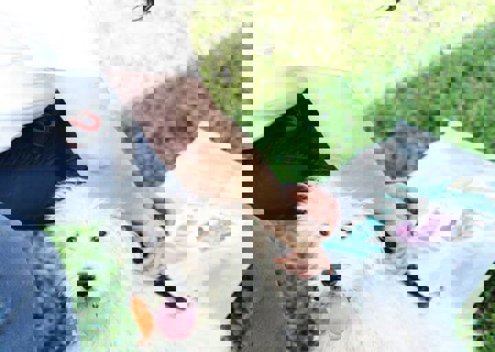 16_05220493.jpg