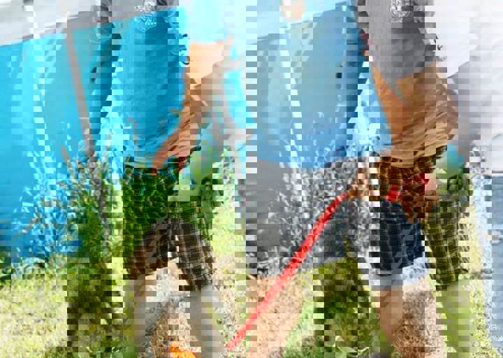 16_05220495.jpg