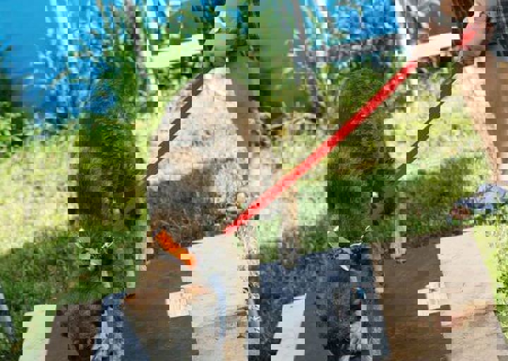 16_05220496.jpg