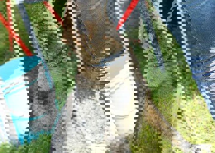 16_05220497.jpg